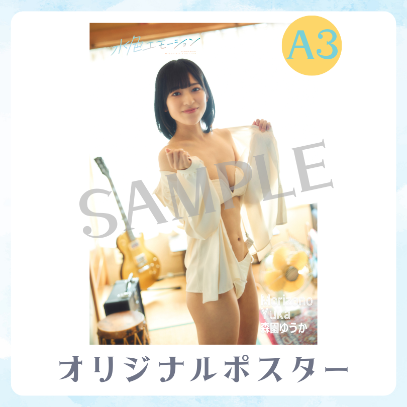 A3オリジナルポスターの画像