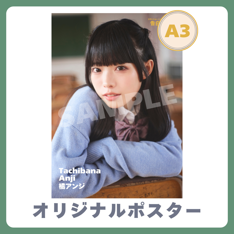 A3オリジナルポスターの画像