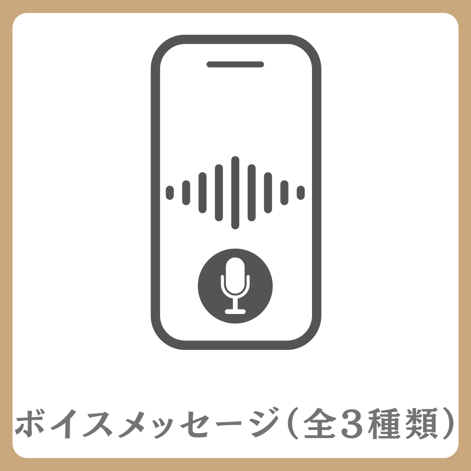 ボイスメッセージ(全3種類)の画像